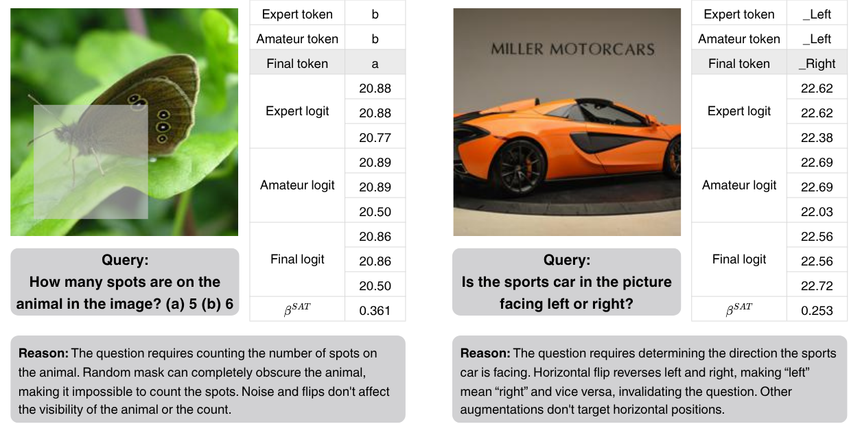 Self-Aug examples on MMVP.